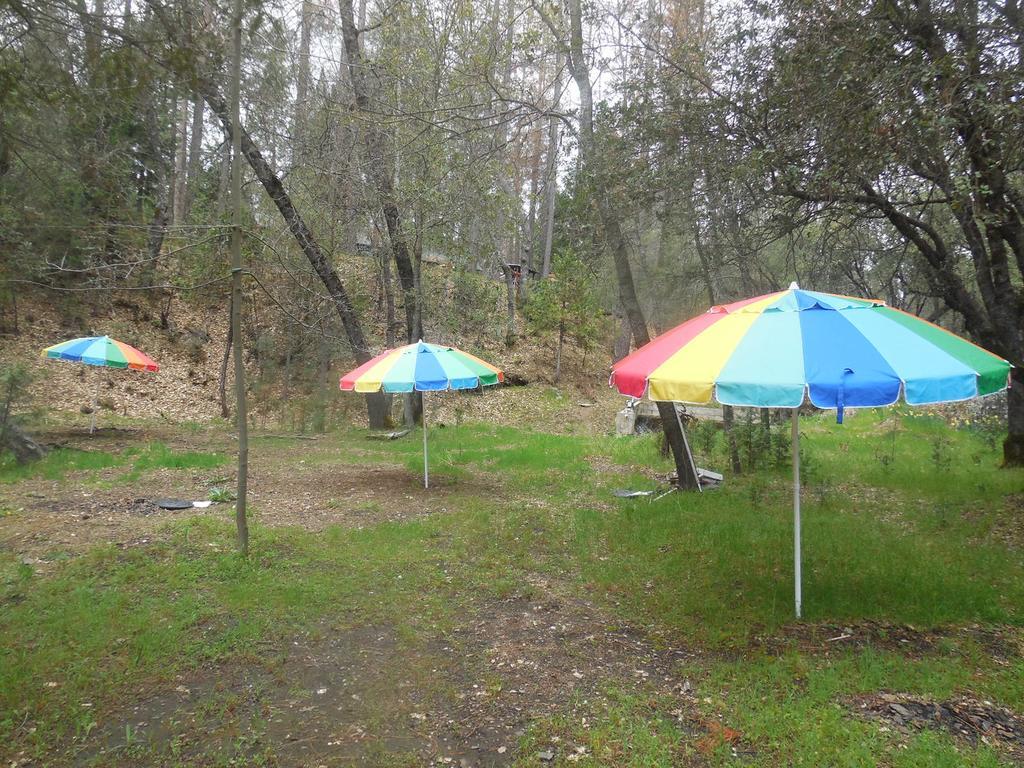 Yosemite Paradise Inn Coulterville Dış mekan fotoğraf