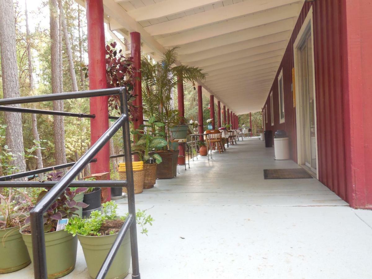 Yosemite Paradise Inn Coulterville Dış mekan fotoğraf