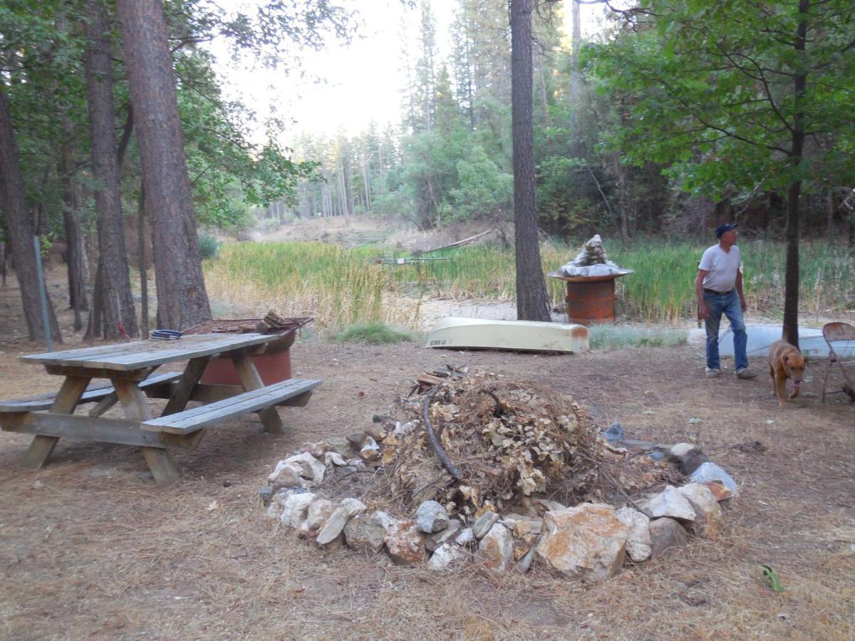 Yosemite Paradise Inn Coulterville Dış mekan fotoğraf