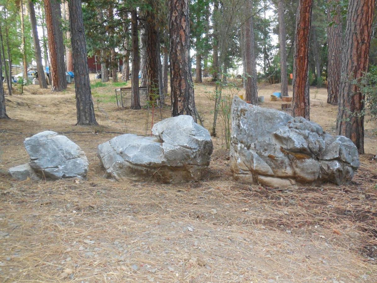Yosemite Paradise Inn Coulterville Dış mekan fotoğraf